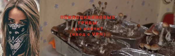 PSILOCYBIN Кукмор