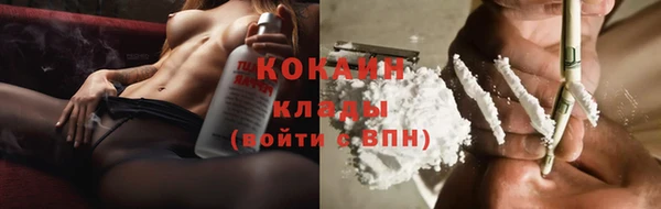 PSILOCYBIN Кукмор