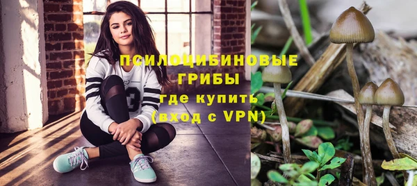 ешки Аркадак
